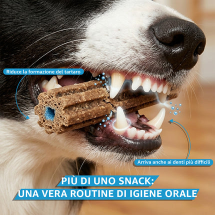 Purina DENTALIFE Snack Cane per l'Igiene Orale Daily Oral Care | Vari Formati (Small, Medium, Large) Purina
