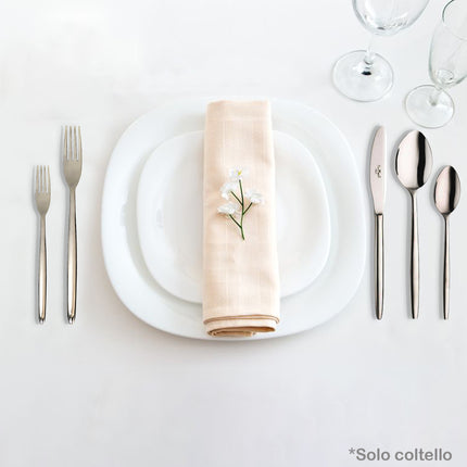 Coltello Da Tavola Olivia In Acciaio Inox - Per Ristorazione, Cucina, Pranzo