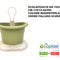 Scolaposate Da Appoggio Tulipano Madreperla/Verde-8032532528389