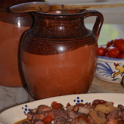 Pignata Pignatta Caldea Smaltata per Fuoco a 2 Manici Tegame Pentola Terracotta
