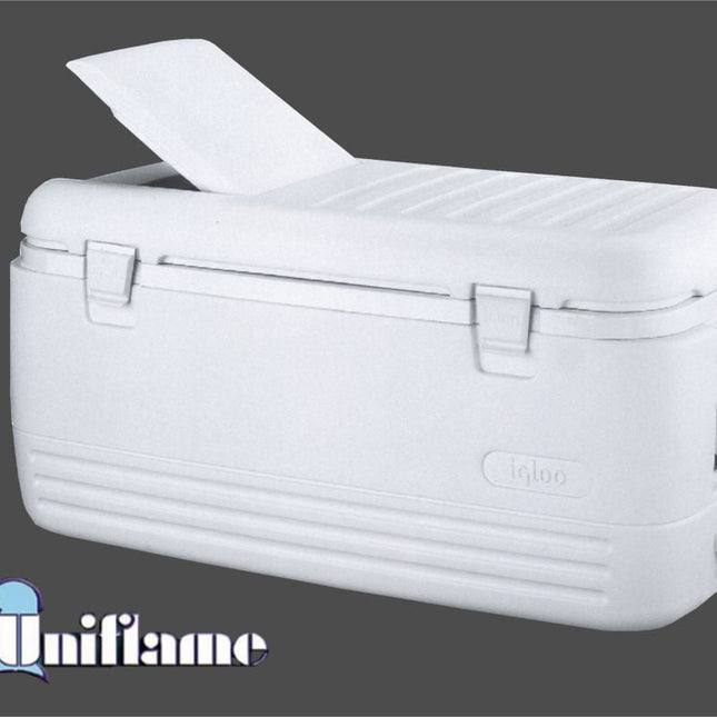 GHIACCIAIA FRIGO IGLOO QUICK &amp; COOL POLAR LT.113 CM.96X42X45,5h Igloo