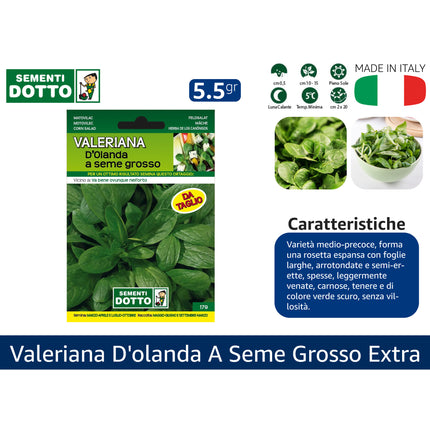 Sementi Dotto Professionali: Semi da Orto Alta Germinazione | Scegli Varietà e Formato Risparmio Valeriana d'olanda a seme grosso Sementi Dotto