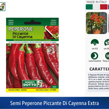 Sementi Dotto Professionali: Semi da Orto Alta Germinazione | Scegli Varietà e Formato Risparmio Peperone Piccante di Cayenna Sementi Dotto