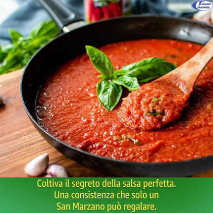 Semi Pomodoro San Marzano 2 - Indeterminato per Passate e Pelati Sementi Dotto