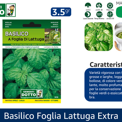 Semi Basilico Foglia di Lattuga Extra - Foglie Grandi e Profumate Sementi Dotto