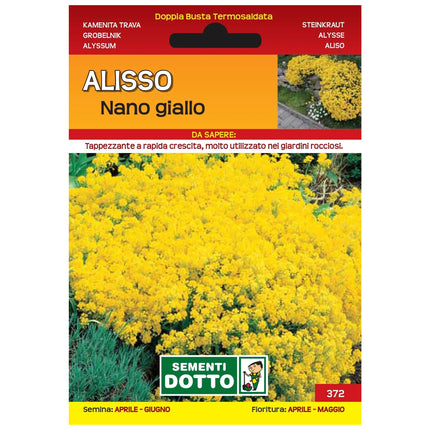 Semi Alisso Nano Giallo Extra Sementi Dotto