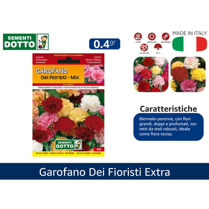 Semi Garofano Dei Fioristi Extra Sementi Dotto