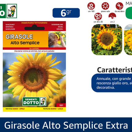 Semi di Girasole Alto Semplice (Helianthus annuus) - Sementi Dotto - 6gr Sementi Dotto