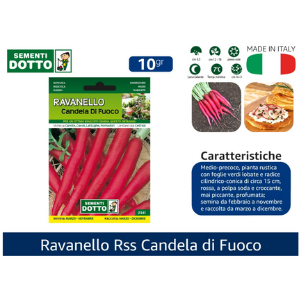 Sementi Dotto Professionali: Semi da Orto Alta Germinazione | Scegli Varietà e Formato Risparmio Ravanello Candela Di Fuoco Sementi Dotto