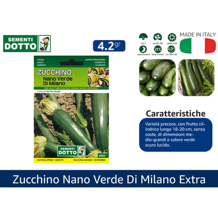 Sementi Dotto Professionali: Semi da Orto Alta Germinazione | Scegli Varietà e Formato Risparmio Zucchino nano verde di milano Sementi Dotto