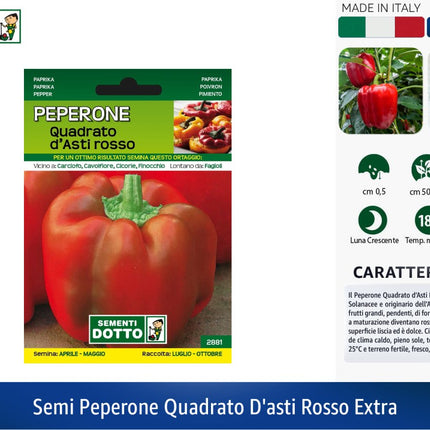 Semi Peperone Quadrato D'Asti Rosso Extra 12 Bustine Sementi Dotto