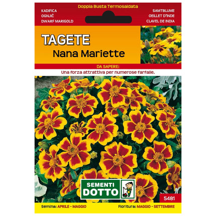 Semi Tagete Semplice Mariette Extra Sementi Dotto