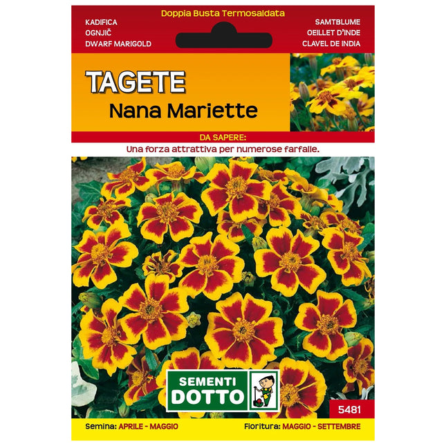 Semi Tagete Semplice Mariette Extra Sementi Dotto