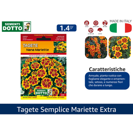 Semi Tagete Semplice Mariette Extra Sementi Dotto
