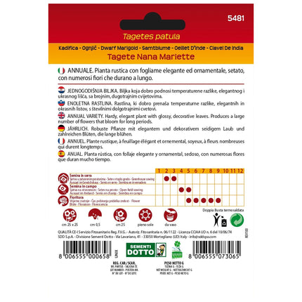 Semi Tagete Semplice Mariette Extra Sementi Dotto