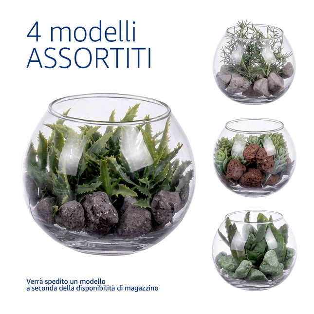 Piantina Grassa Artificiale in Vaso di Vetro a Sfera 12x10 cm - 4 Modelli Assortiti Star