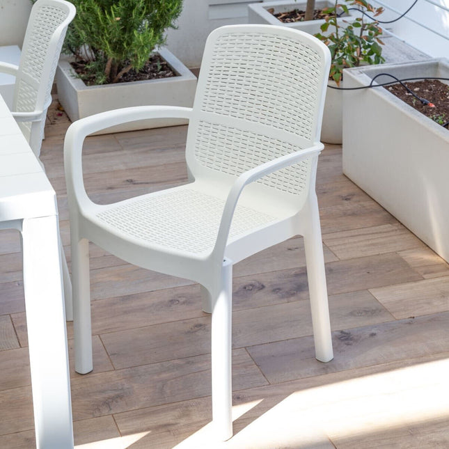 Plastmeccanica Sedia Poltrona Numana Plastica Con Braccioli 55X45X82H Cm Plastmeccanica