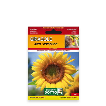 Semi di Girasole Alto Semplice (Helianthus annuus) - Sementi Dotto - 6gr 12 Bustine Sementi Dotto