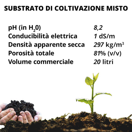 Set Vaso Verona con Sottovaso e Terriccio Plastica per Giardino Interno Esterno
