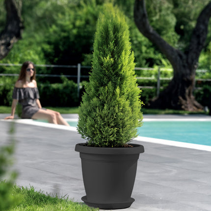 Set Vaso Verona con Sottovaso e Terriccio Plastica per Giardino Interno Esterno