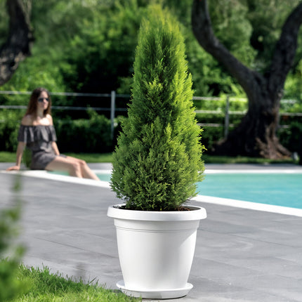 Set Vaso Verona con Sottovaso e Terriccio Plastica per Giardino Interno Esterno