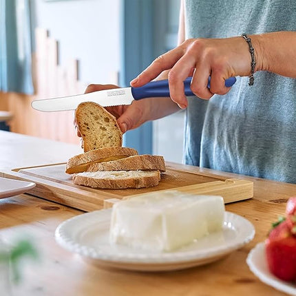 Coltelli da Tavola Dinamik 6 pz in Acciaio Inox 10,7cm con Manico in PP, Lavabili in Lavastoviglie, Taglio Preciso per Uso Alimentare Kaimano