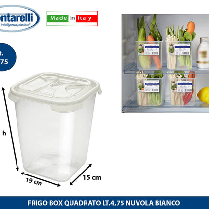 Tontarelli Frigo Box Quadrato In Plastica Trasparente Nuvola, Vari Capacità Disponibili