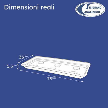 Fioriera Rettangolare Anthea Veca 80/100 cm – Anti‑UV, Made in Italy, Struttura Rinforzata, Sottofioriera e Ruote Optional Sottofioriera 80 cm Veca
