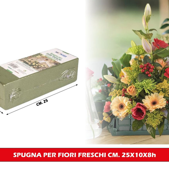 Spugna per Fiori Freschi 25x10x8 cm | Mattone in Spugna Idrofila Verde per Composizioni Floreali e Fioristi Lovimport srl