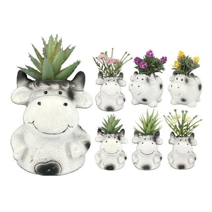 PIANTINA GRASSA IN VASO MINI MUCCHETTA CM.7X6X13,5h 8 ASS. Lovimport srl