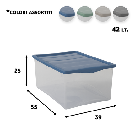 Salvaspazio Contenitore Plastica Portaoggetti Multiuso per Vestiti Grande Basso 55×39×25h cm