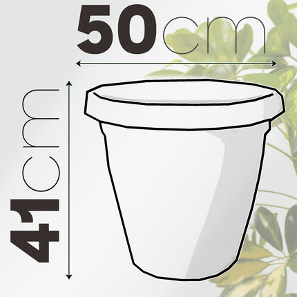 Set Vaso Verona con Sottovaso e Terriccio Plastica per Giardino Interno Esterno