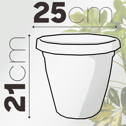 Set Vaso Verona con Sottovaso e Terriccio Plastica per Giardino Interno Esterno