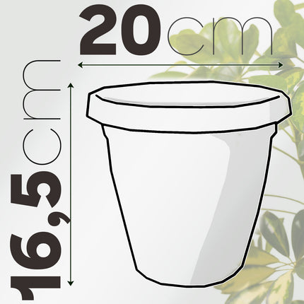 Set Vaso Verona con Sottovaso e Terriccio Plastica per Giardino Interno Esterno