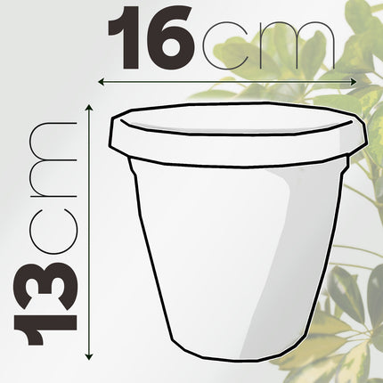 Set Vaso Verona con Sottovaso e Terriccio Plastica per Giardino Interno Esterno