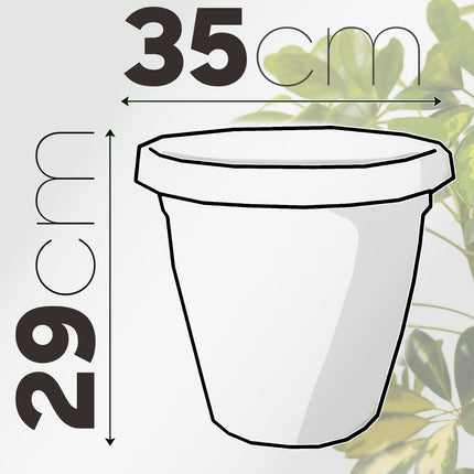 Set Vaso Verona con Sottovaso e Terriccio Plastica per Giardino Interno Esterno