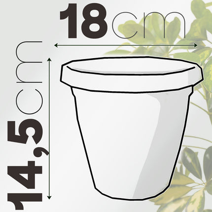 Set Vaso Verona con Sottovaso e Terriccio Plastica per Giardino Interno Esterno