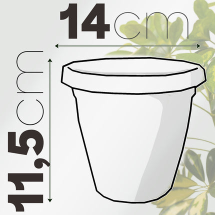 Set Vaso Verona con Sottovaso e Terriccio Plastica per Giardino Interno Esterno