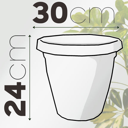 Set Vaso Verona con Sottovaso e Terriccio Plastica per Giardino Interno Esterno
