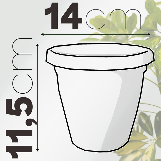 Vaso Verona Rotondo Plastica Per Giardino Interno Esterno 14 cm Veca