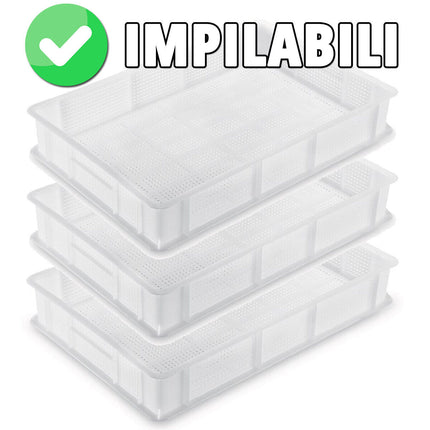 Giganplast Vaschette Contenitori Cassette Forate Per Frutta Verdura Pasta Fresca Congelare