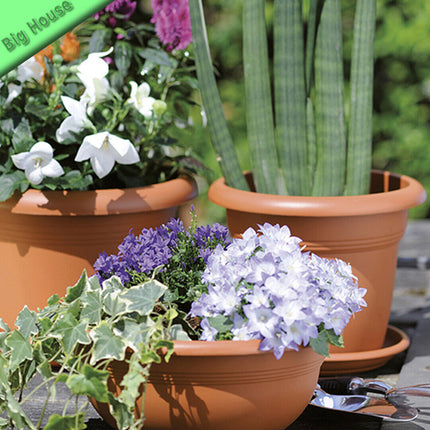 Vaso Grande in Plastica per Piante e Fiori Color Terracotta con Riserva d'Acqua
