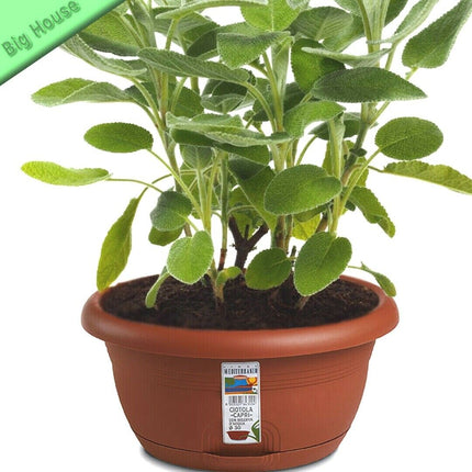 Stefanplast Ciotola Capri Vaso Rotondo Per Fiori Piante Giardino Balcone Con Riserva Acqua