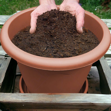 Sicignano Vaso Vulcano Con Sottovaso E Terriccio, Plastica Terracotta