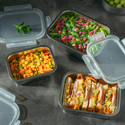 Contenitore Ermetico in Acciaio Inox 304 | Dal Freezer al Forno (-40°C a +400°C) | Meal Prep per Microonde Castey