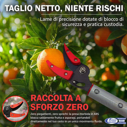 Forbici a Manico Lungo per Raccolta Frutta e Asparagi 80 cm | De Luca De Luca Coltellerie