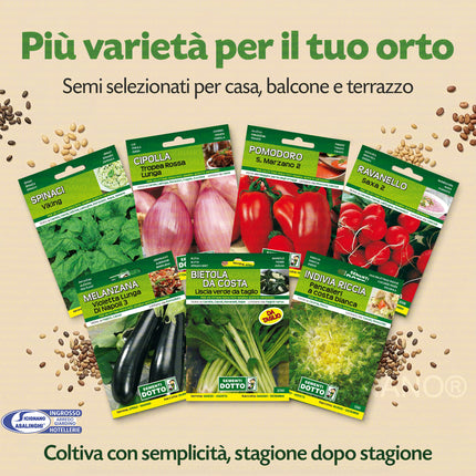 Kit Orto 4 Stagioni 26 Sementi Dotto (365g) | Alta Germinabilità per Balcone e Giardino Sementi Dotto