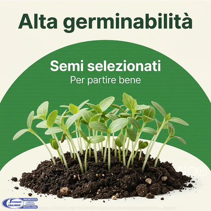 Kit Orto 4 Stagioni 26 Sementi Dotto (365g) | Alta Germinabilità per Balcone e Giardino Sementi Dotto