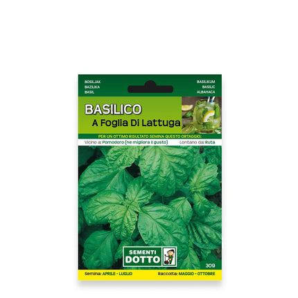 Semi Basilico Foglia di Lattuga Extra - Foglie Grandi e Profumate 12 Bustine Sementi Dotto