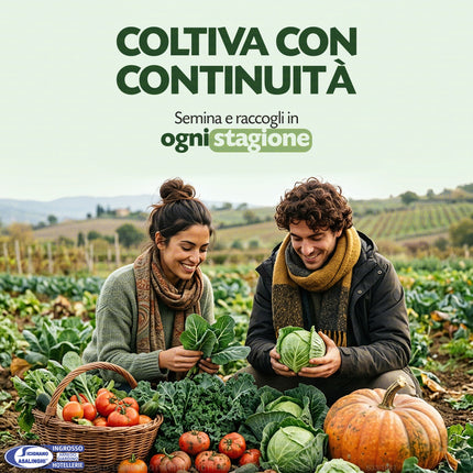 Kit Orto 4 Stagioni 26 Sementi Dotto (365g) | Alta Germinabilità per Balcone e Giardino Sementi Dotto
